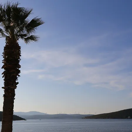 B&B Nar Cafe Siğacık