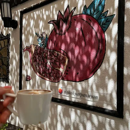 Nar Cafe فندق مبيت وإفطار